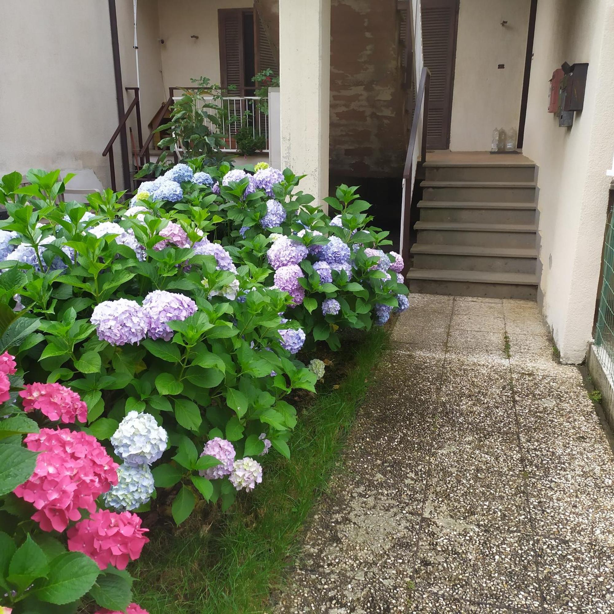 Apartment Santa Maria بولسينا المظهر الخارجي الصورة
